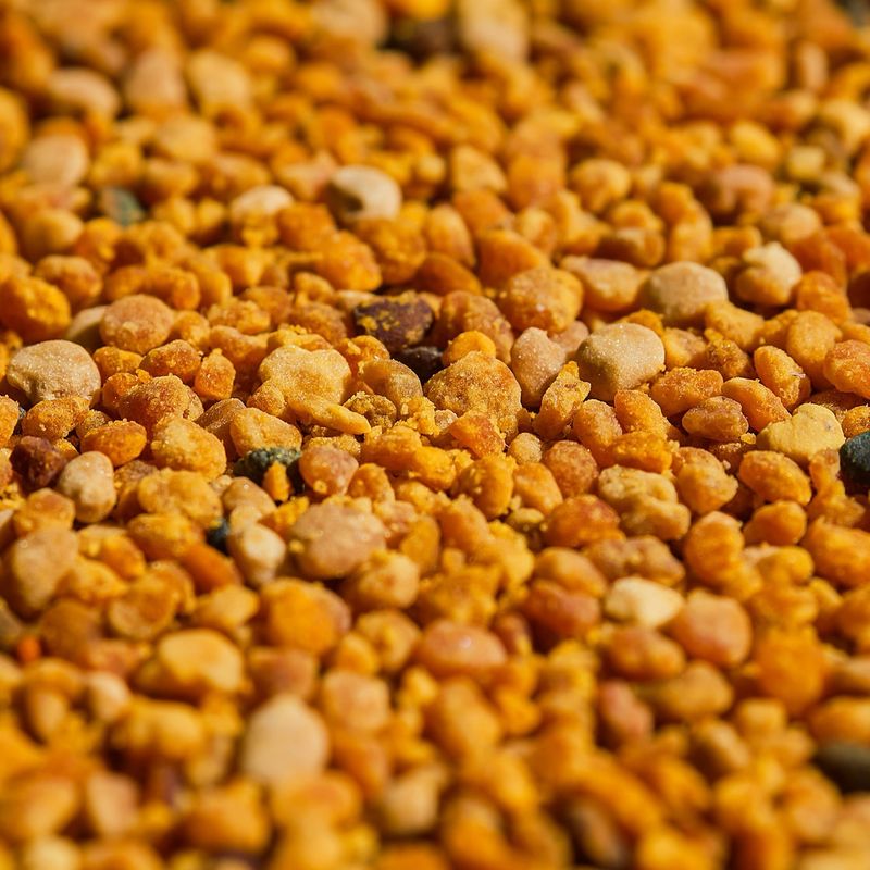 Bipollen (130 g) | Little Bee Fresh