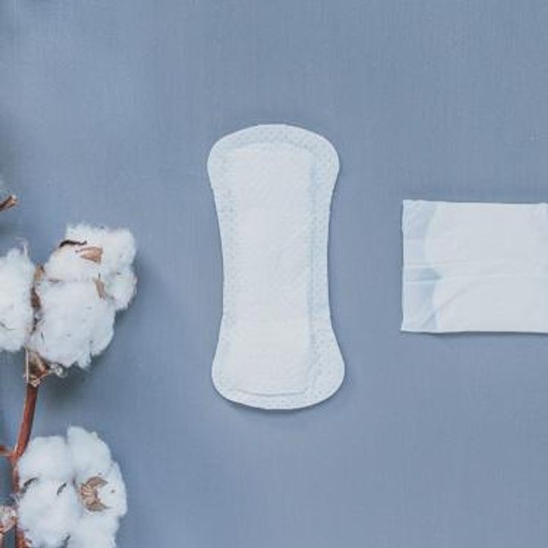 Natracare Truseinnlegg - Normal og Tanga